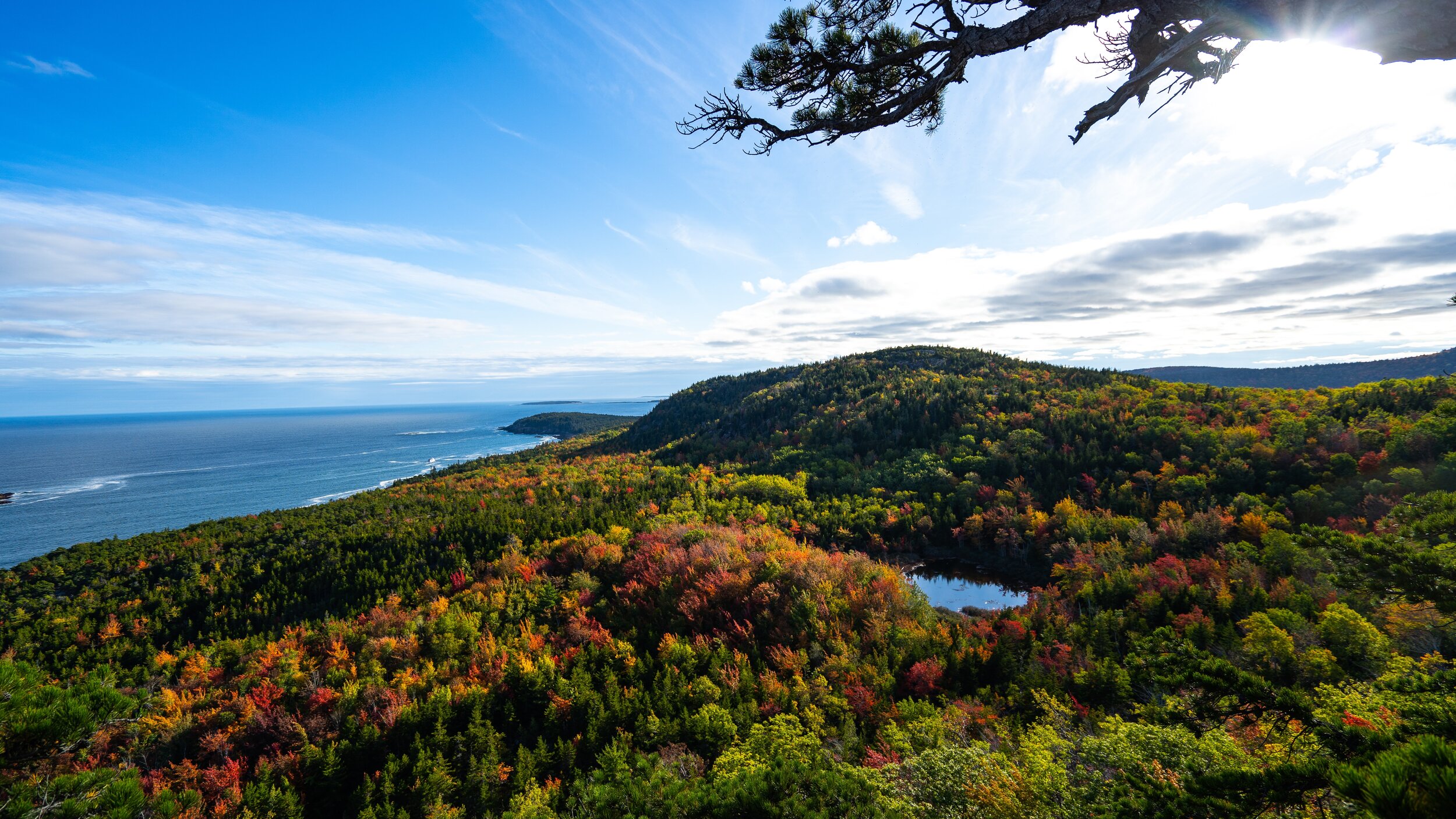 Acadia national park landscape shot